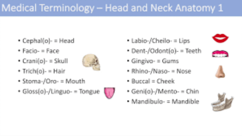 medical term