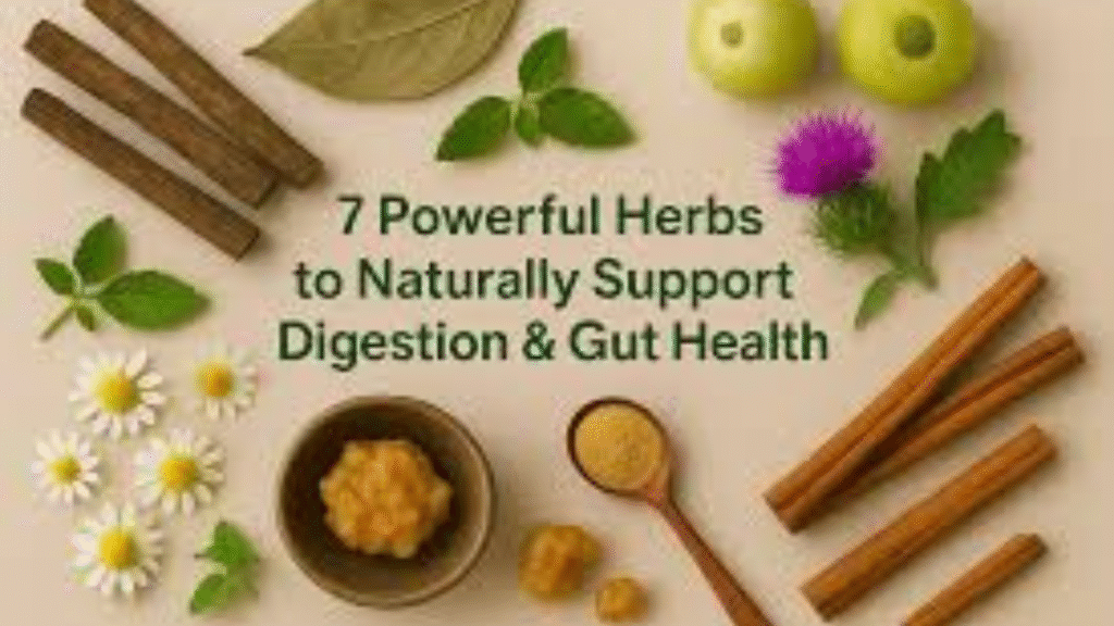 herbal remedies for digestion