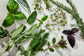 herbal remedies for digestion