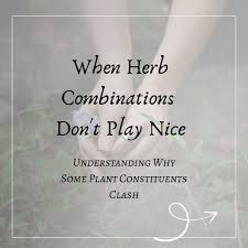 When Herbs Don’t Play Nice