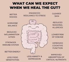 herbal remedies for digestion
