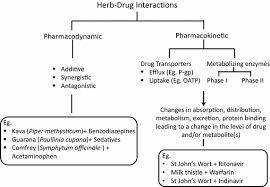 herb drug interactions