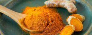 Turmeric (Curcuma longa)