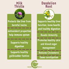 Dandelion Root + Milk Thistle