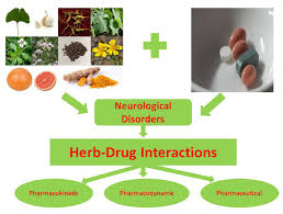 herb drug interaction checker