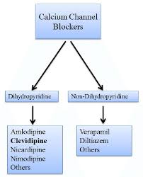 Calcium Channel Blockers 