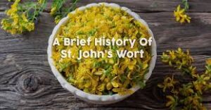 st john's wort benefits