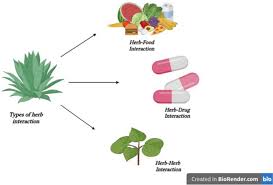 herb drug interaction checker
